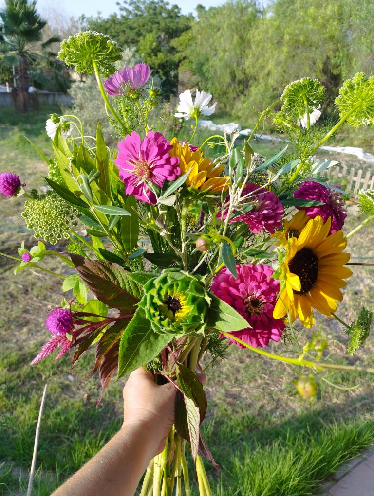 Mano sosteniendo un ramo de flores frescas de temporada en La Huerta de las Flores, Orihuela.