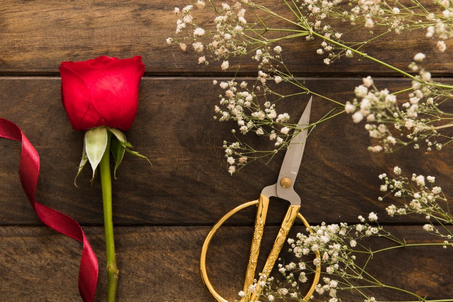 Cuánto duran las flores preservadas